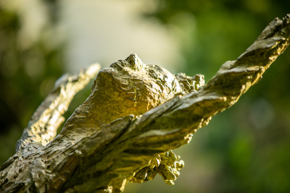 Special Sculpture Walk - a graceful extension to the La Motte Experience