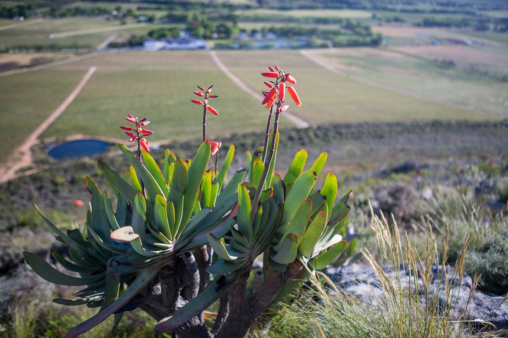 Plants with their own GPS coordinates?