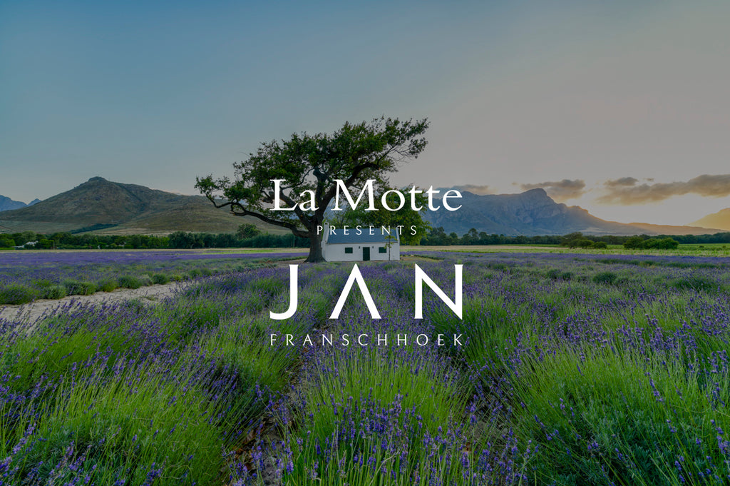 Introducing JAN Franschhoek