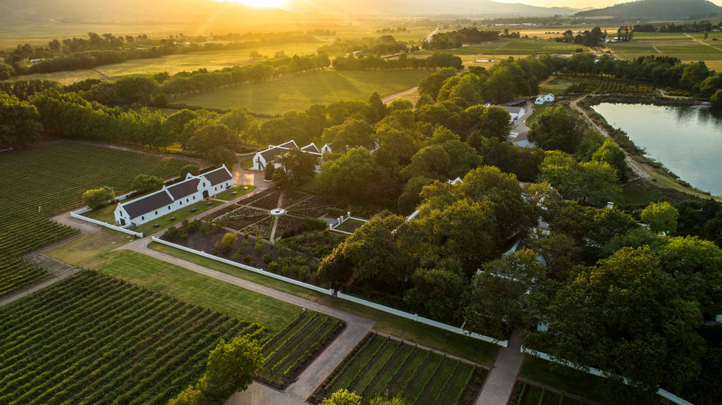 Enjoy the Best of Wine Tourism!