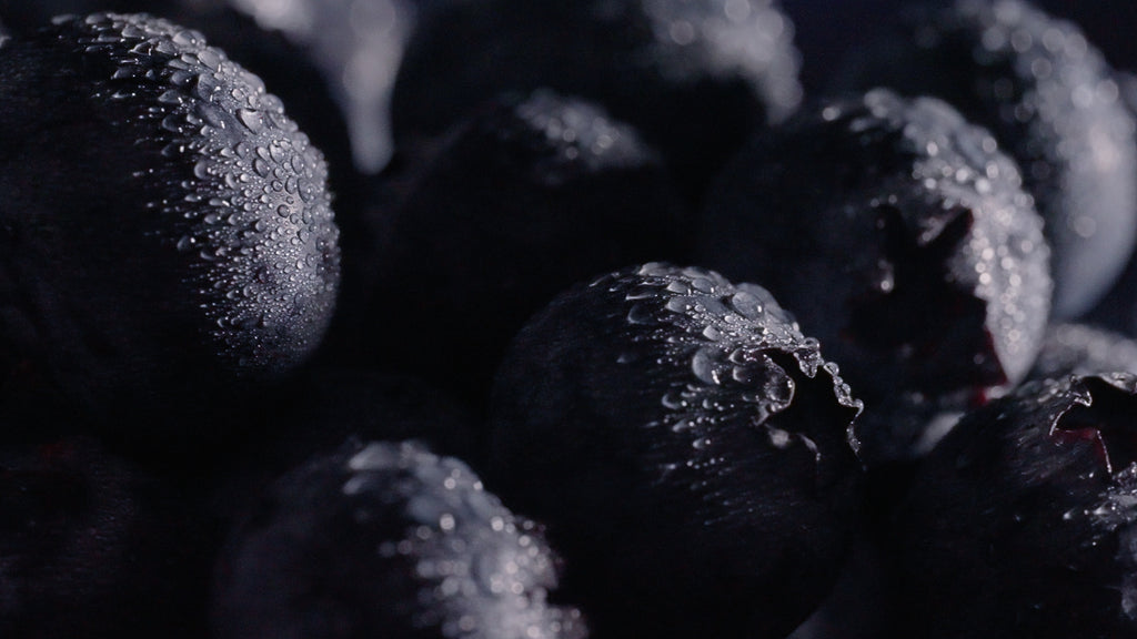 The Colours of La Motte Syrah