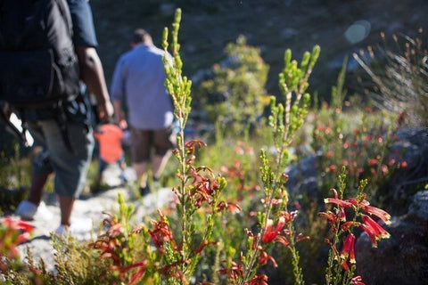 Franschhoek Hiking Trails | Franschhoek Wine Farms