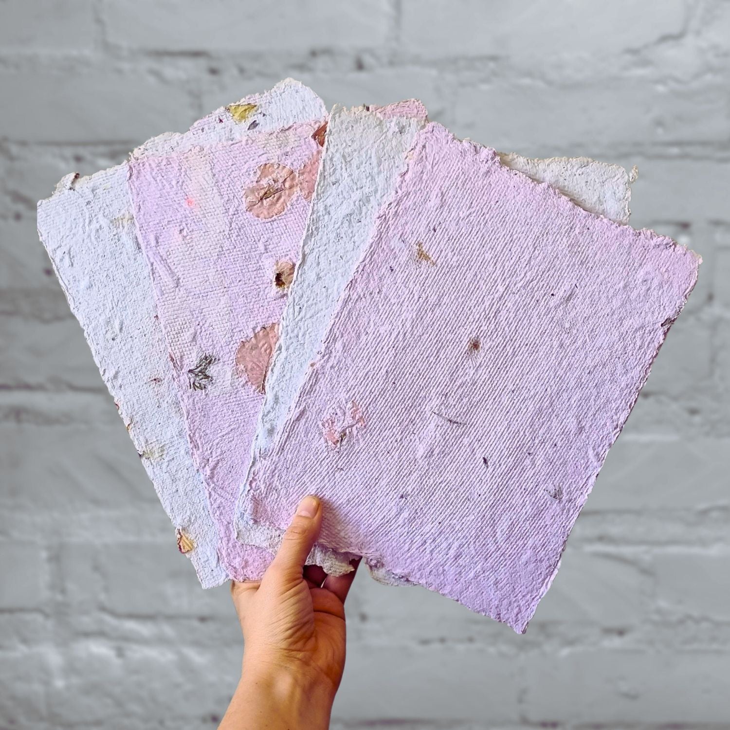 Botanical Papermaking Workshop: 24 January 2026