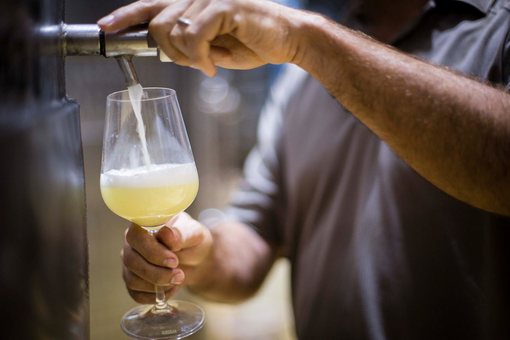 Taste the Terroir – a celebration of Sauvignon Blanc