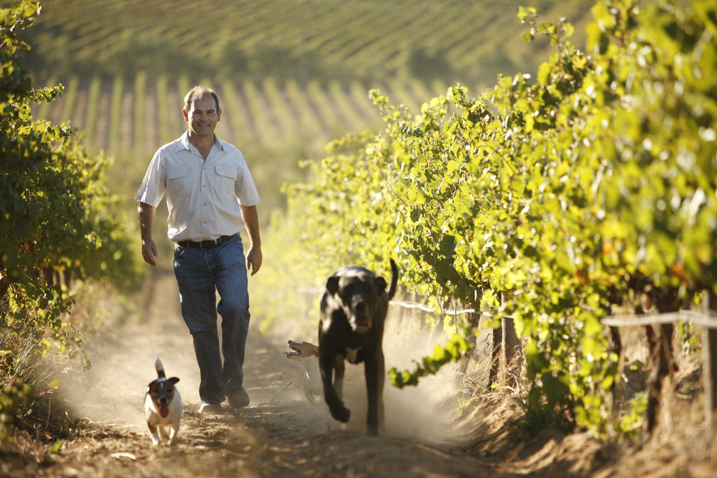 2018 Wine Grape Harvest Expectations