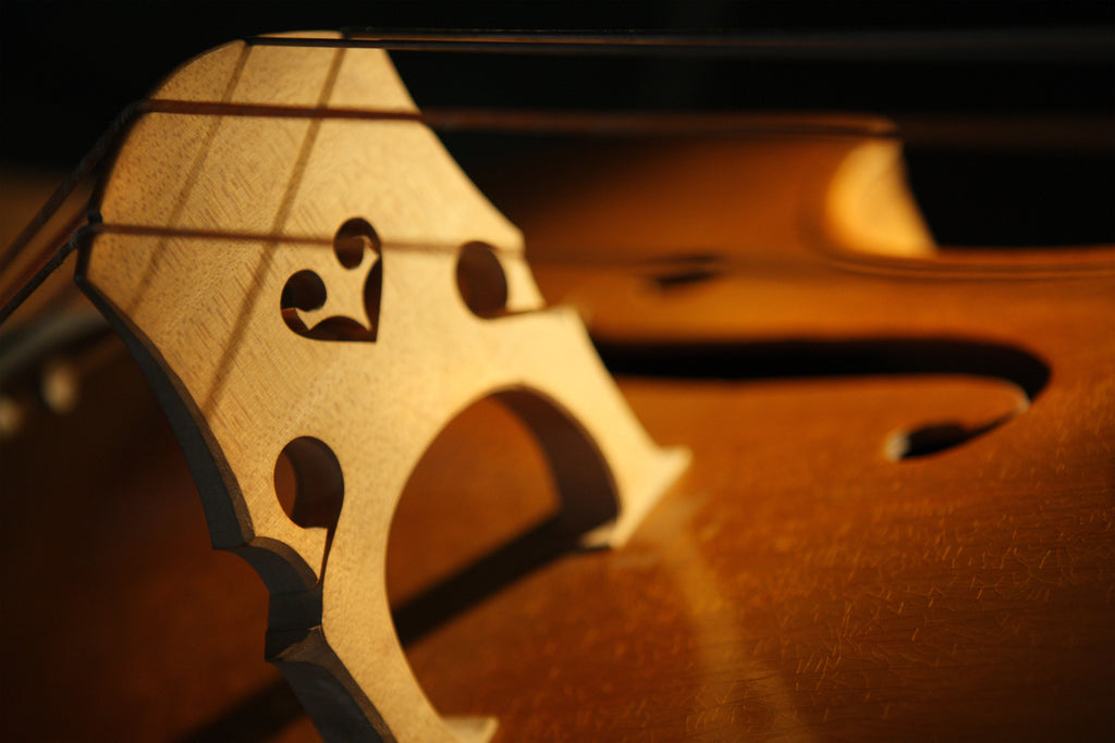 Romantic Favourites for Valentine's Day