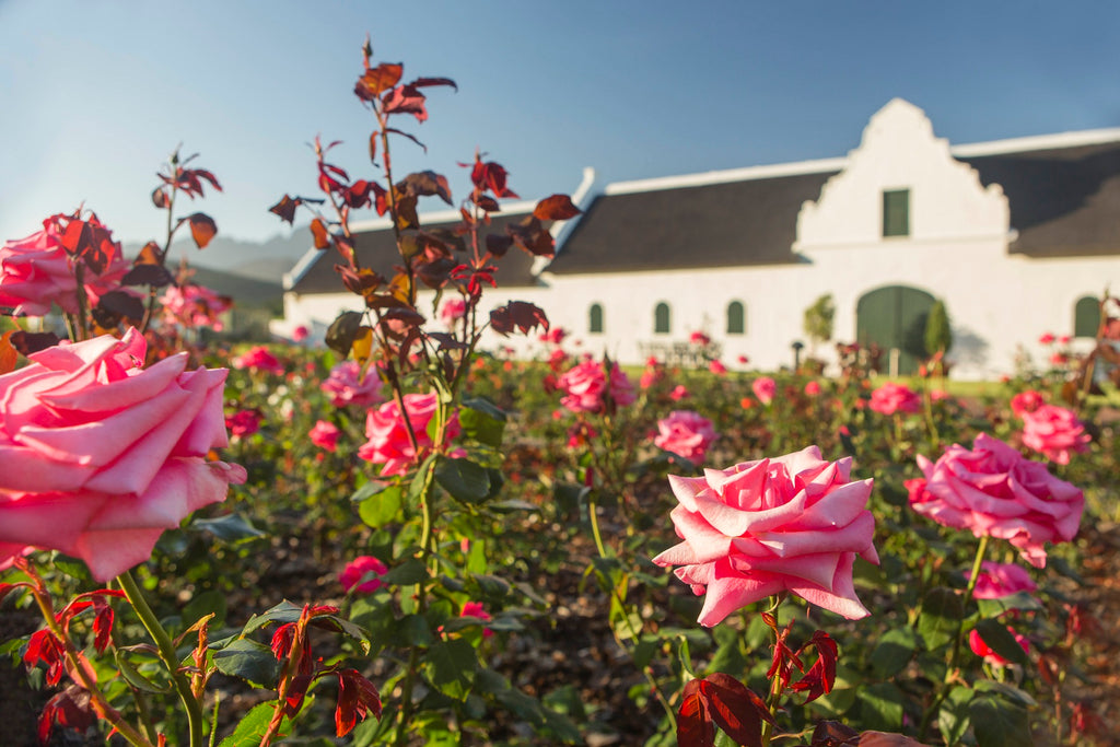 Enjoy Garden Day at La Motte