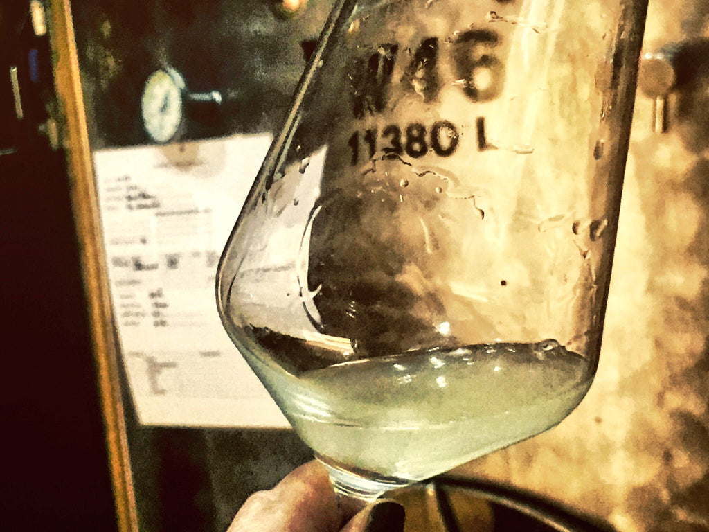 Celebrate Sauvignon Blanc!