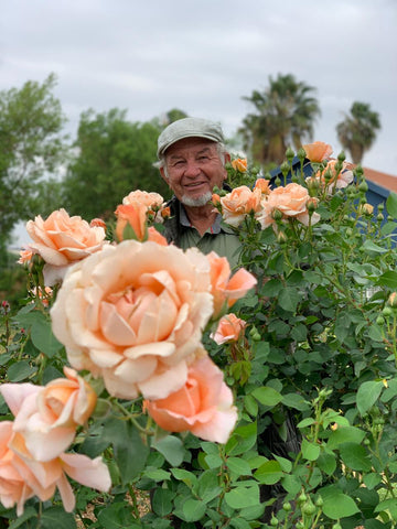 Rose Events – Stellenbosch Garden Town: The Origin and History of the Rose, Ludwig Taschner : 05 November 2025