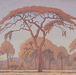 Pierneef-bome / Pierneef trees