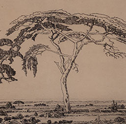 Pierneef as grafiese kunstenaar / Pierneef as graphic artist